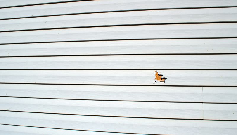 Damaged Siding Replacement